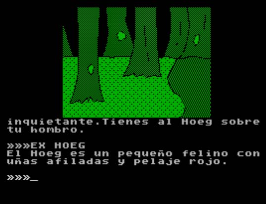 Bosque de Beil